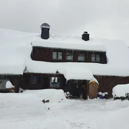 Rose Mit Sauna Und Hs-card - Greschuk * Feldberg (Baden-Wurttemberg)