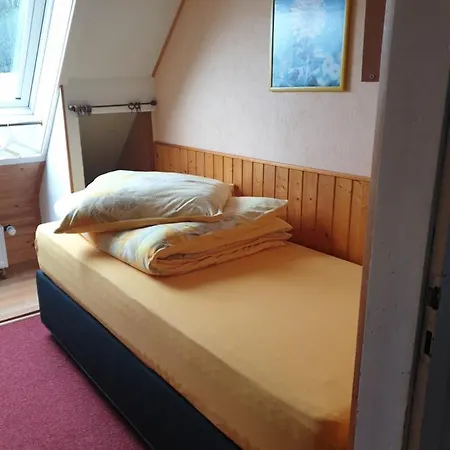 Apartment Am Sommerberg - Greschuk Feldberg (Baden-Wurttemberg)