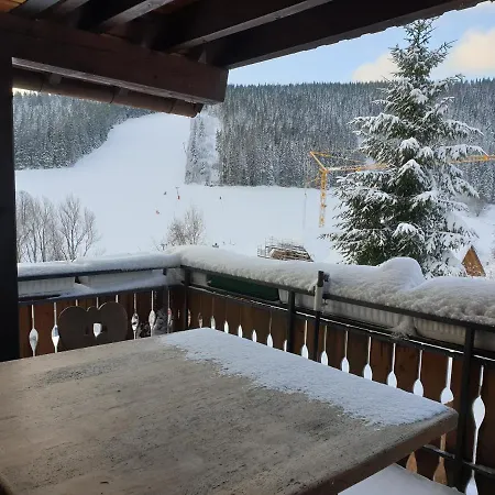 Am Sommerberg - Greschuk Apartment Feldberg (Baden-Wurttemberg)