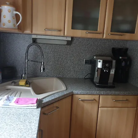 Apartamento Rose Mit Sauna Und Hs-card - Greschuk