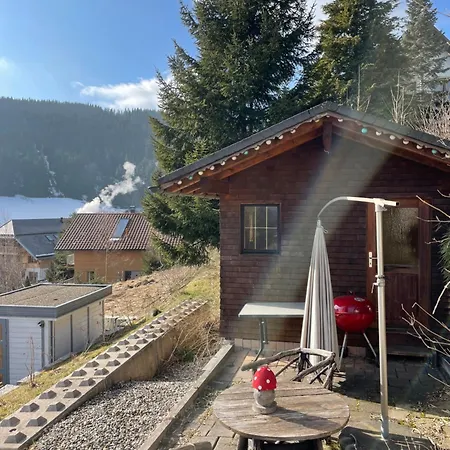 Rose Mit Sauna Und Hs-card - Greschuk * Feldberg (Baden-Wurttemberg)