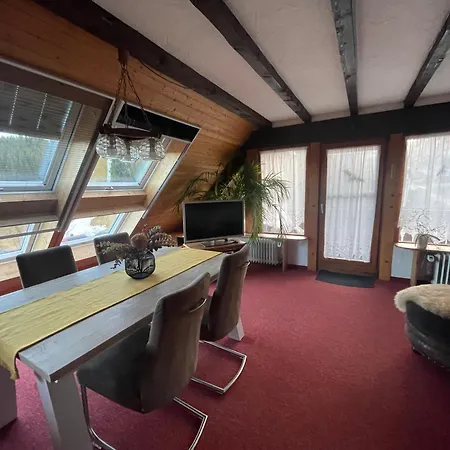 Apartamento Rose Mit Sauna Und Hs-card - Greschuk Feldberg (Baden-Wurttemberg)