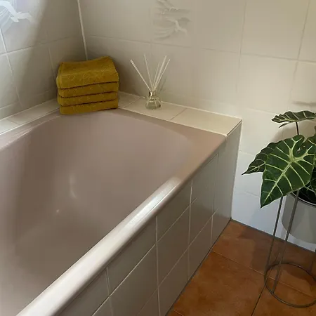 Apartamento Rose Mit Sauna Und Hs-card - Greschuk *