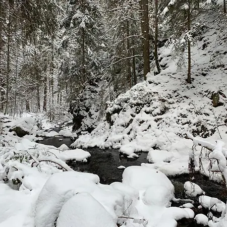 Rose Mit Sauna Und Hs-card - Greschuk Feldberg (Baden-Wurttemberg)