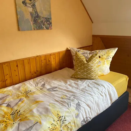 Apartamento Rose Mit Sauna Und Hs-card - Greschuk *