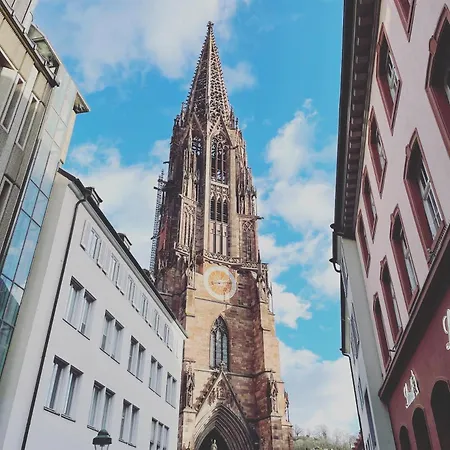 Rose Mit Sauna Und Hs-card - Greschuk *