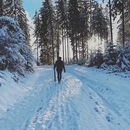 Rose Mit Sauna Und Hs-card - Greschuk * Feldberg (Baden-Wurttemberg)