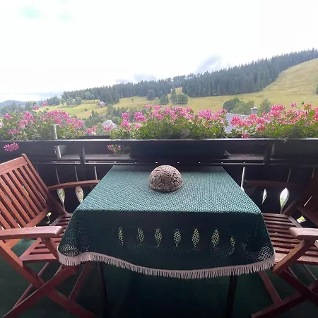 Rose Mit Grosser Sauna Und Hochschwarzwald Card Apartman