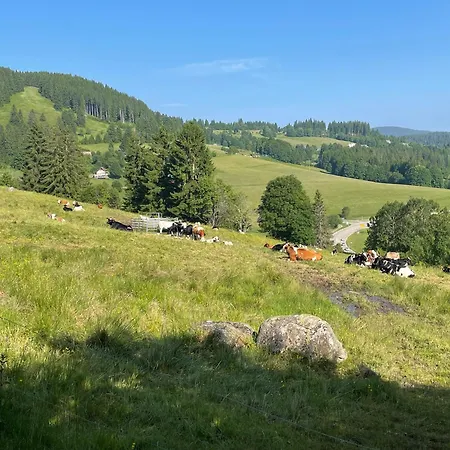 Apartamento Rose Mit Sauna Und Hs-card - Greschuk