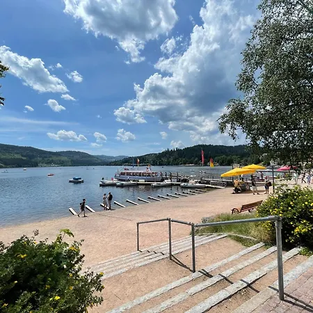 Apartman Rose Mit Grosser Sauna Und Hochschwarzwald Card